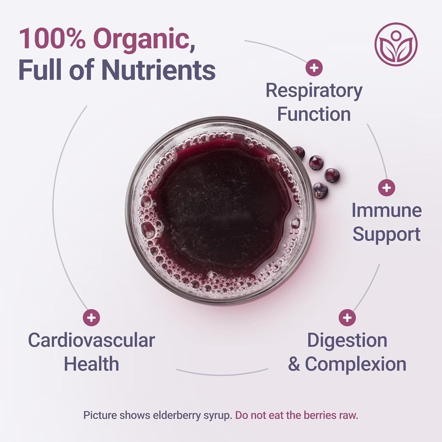 USDA Certified Organic Dried Elderberries - Bulk -