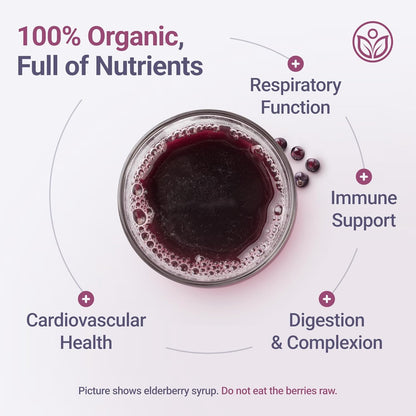 USDA Certified Organic Dried Elderberries - Bulk -